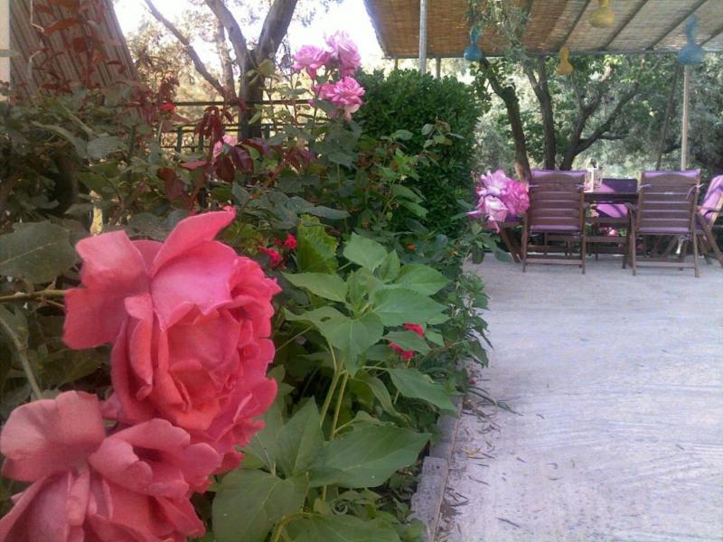 Photos for house 150428