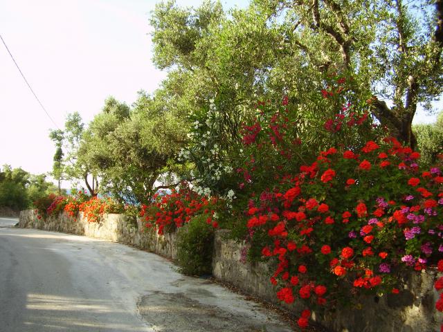 Photos for house 150045