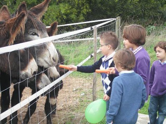 Photos for house 150542