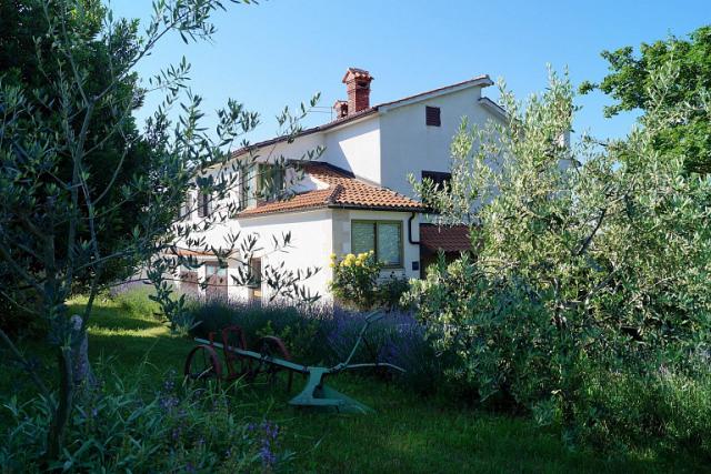 Photos for house 150712