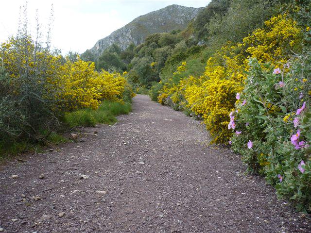 Photos for house 150753