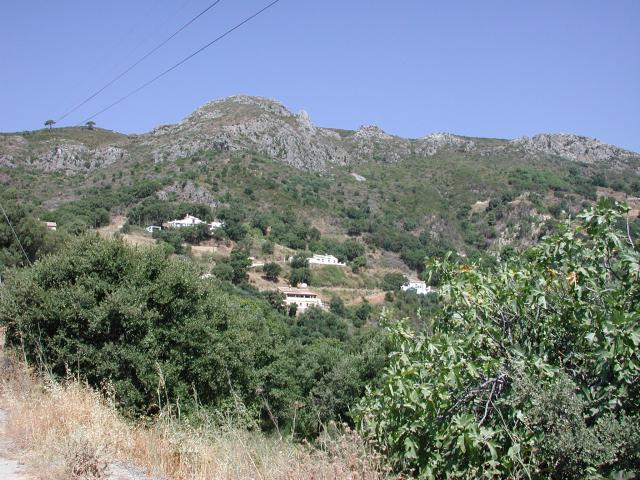 Photos for house 150753