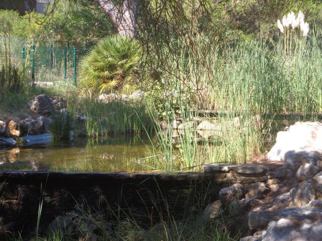 Photos for house 150775