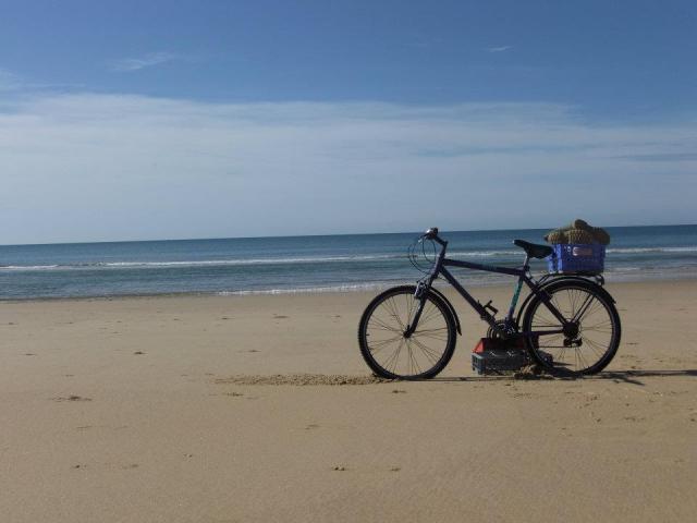 Photos for house 150775