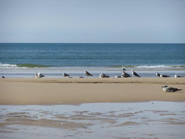 Photos for house 150775