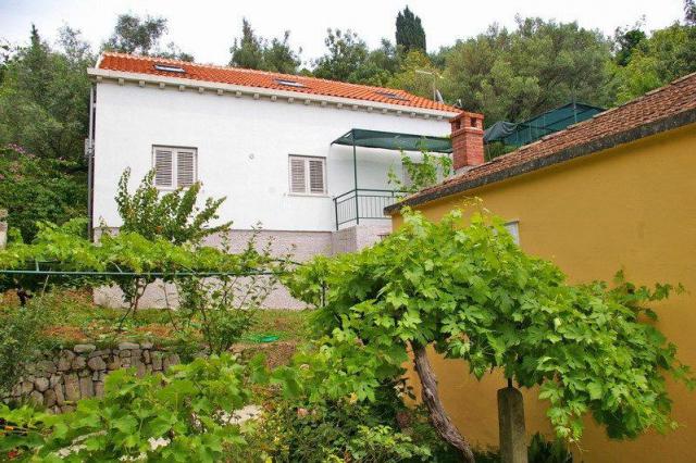 Photos for house 150081