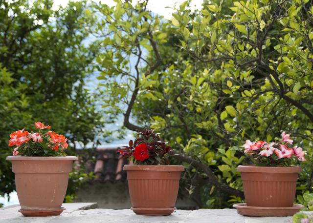 Photos for house 150830