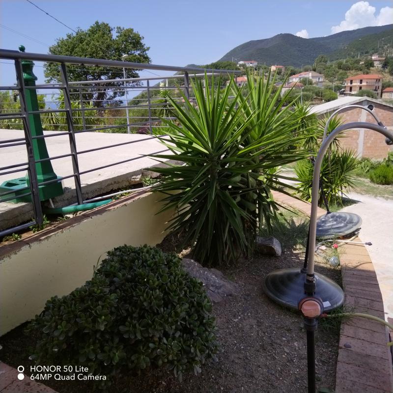 Photos for house 183668