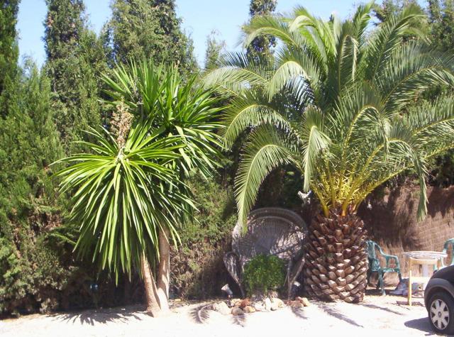 Photos for house 183690