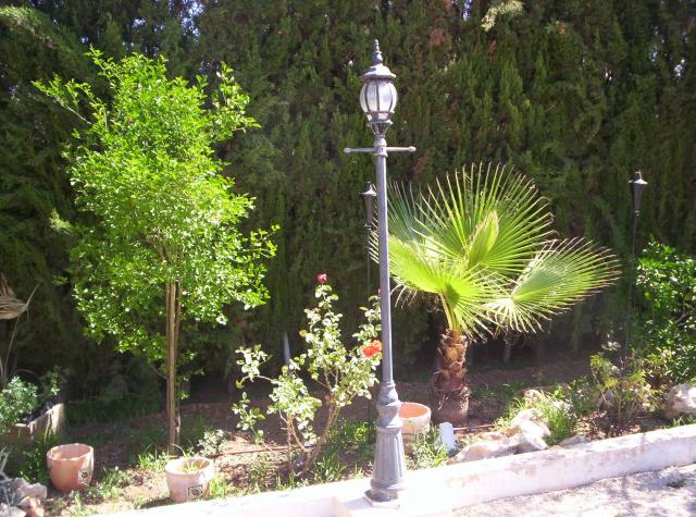 Photos for house 183690