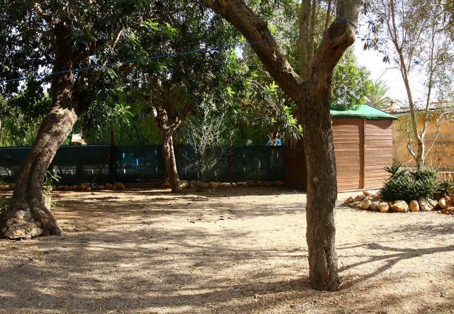 Photos for house 183690