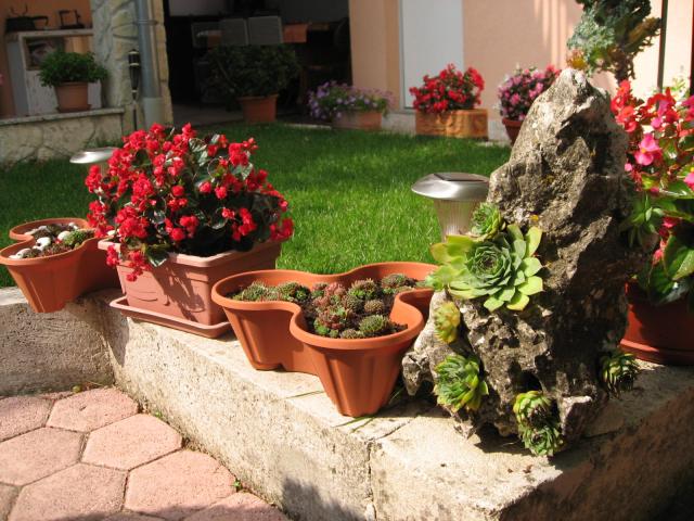 Photos for house 183724