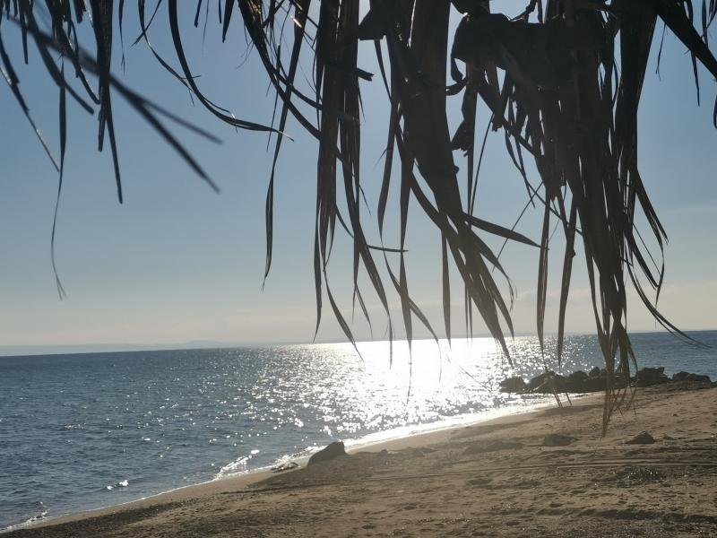 Photos for house 183869