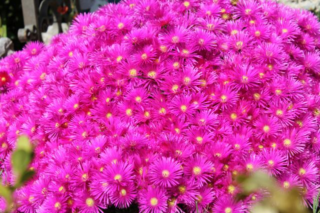 Photos for house 183872