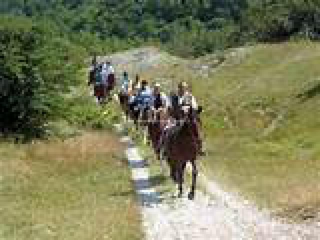 Photos for house 183872