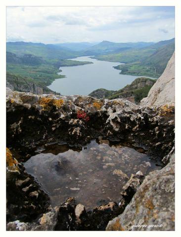 Photos for house 183872