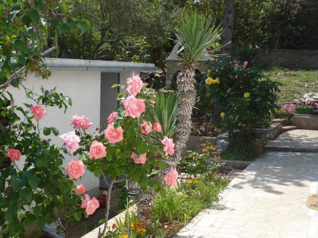 Photos for house 183890