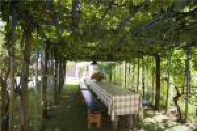 Photos for house 185027