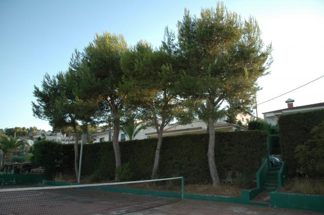 Photos for house 294060