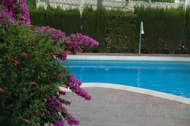 Photos for house 294060