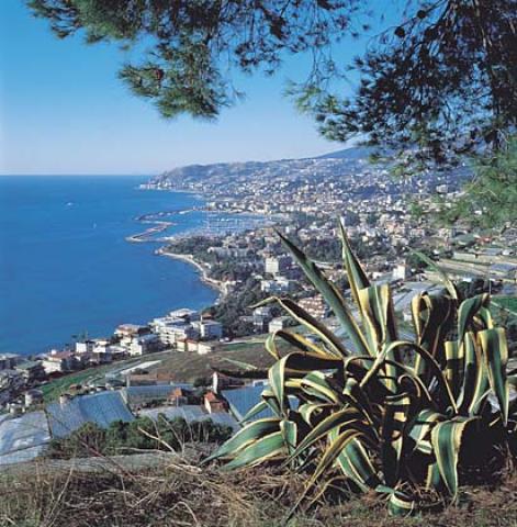 Photos for house 32100