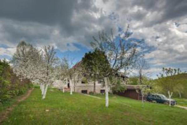 Photos for house 33018