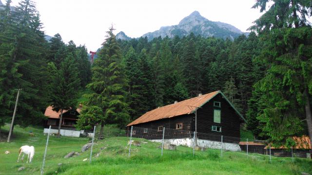 Photos for house 33061