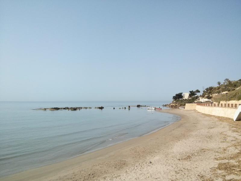 Photos for house 33087