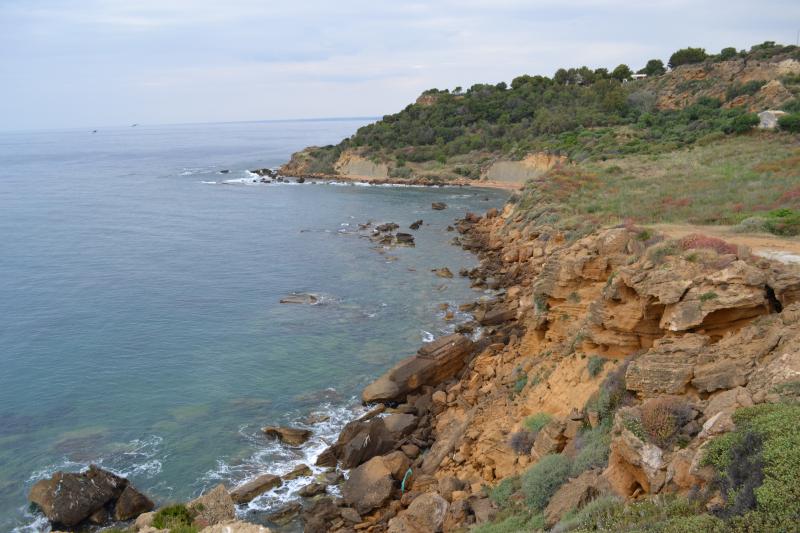 Photos for house 33087