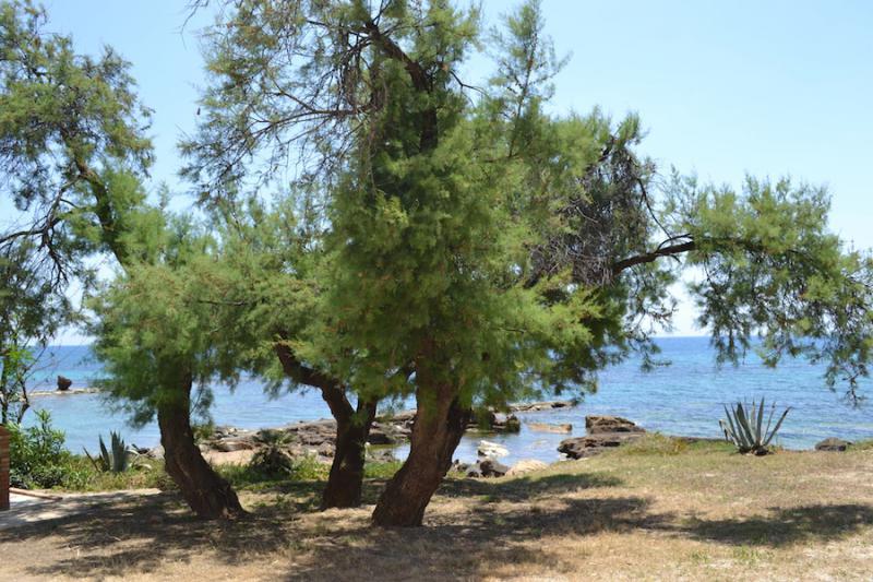 Photos for house 33087