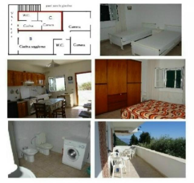 Photos for house 33120