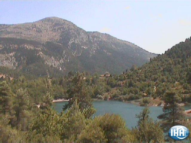 Photos for house 42390