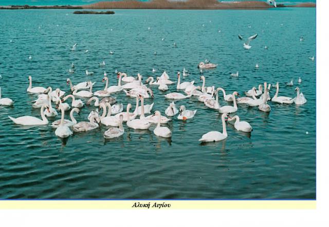 Photos for house 42390