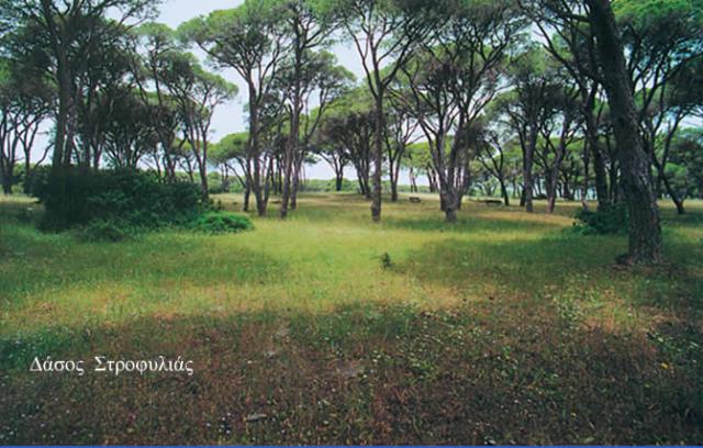 Photos for house 42390