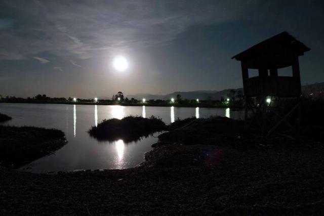 Photos for house 42390