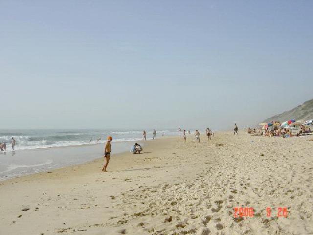 Photos for house 496368