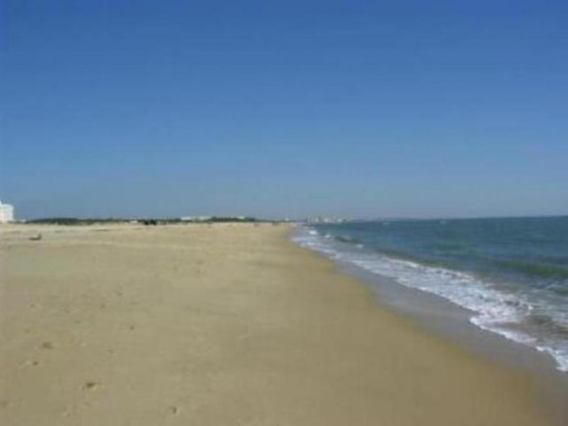 Photos for house 496384