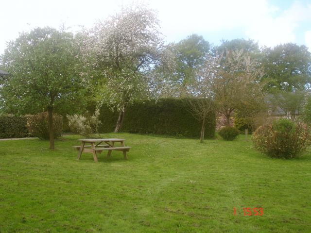 Photos for house 59032