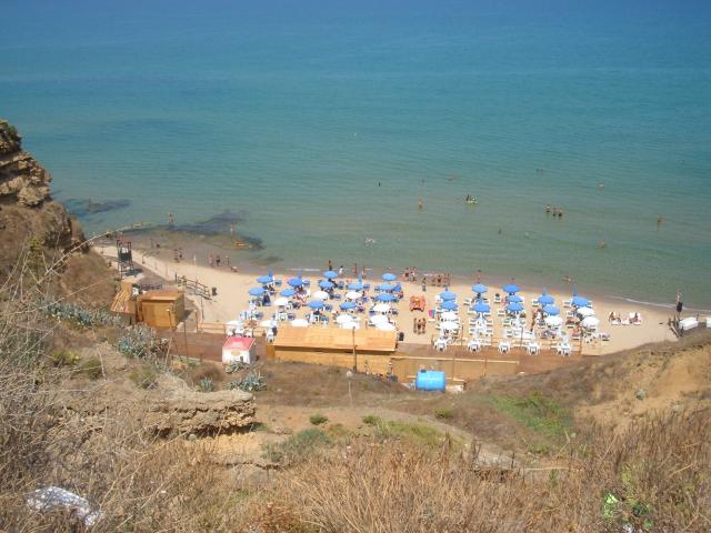 Photos for house 507646