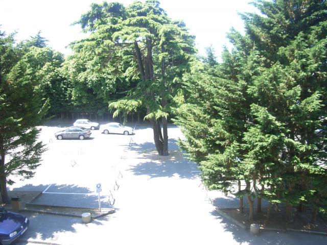 Photos for house 507987