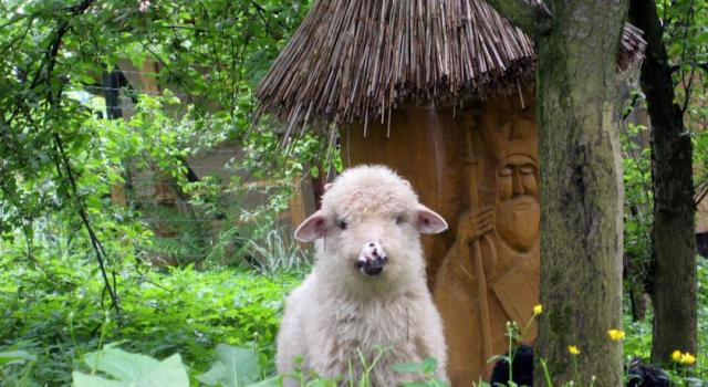 Photos for house 508064