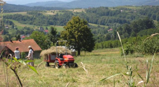 Photos for house 508064