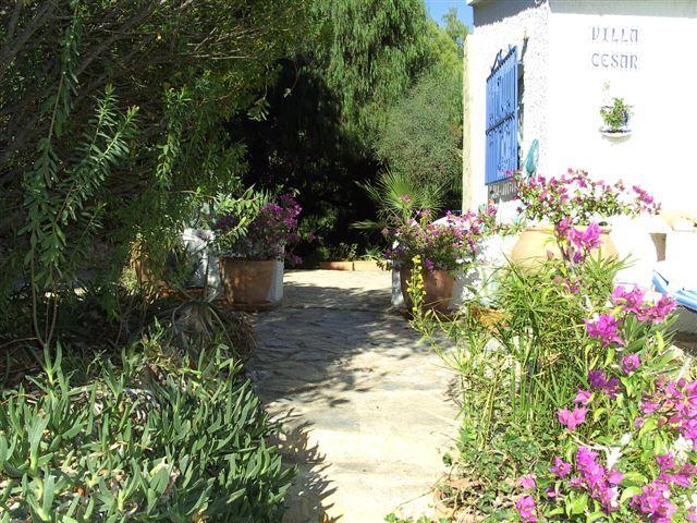 Photos for house 508124