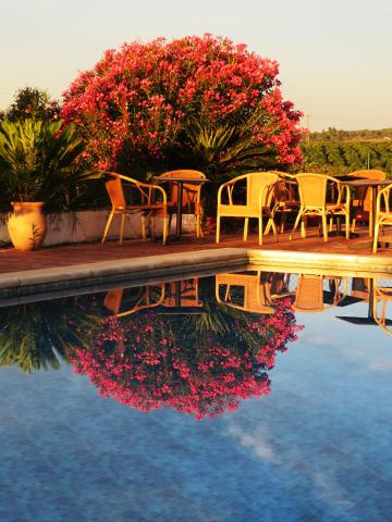 Photos for house 508143