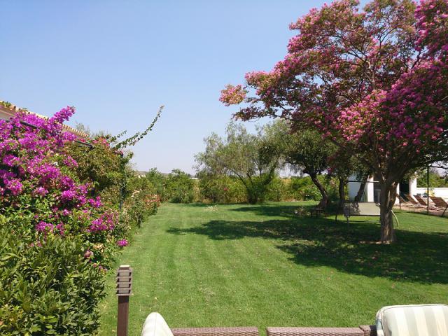 Photos for house 508143