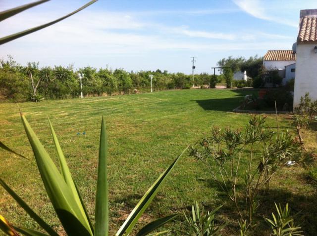 Photos for house 508143