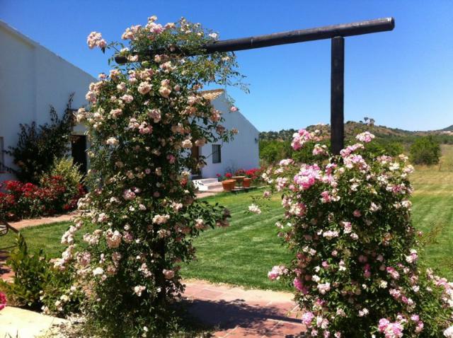 Photos for house 508143