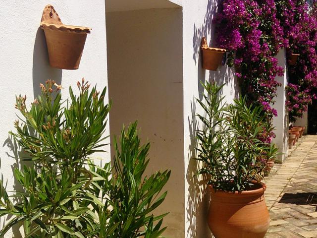 Photos for house 508143