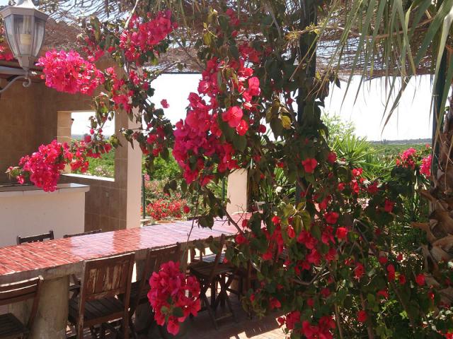 Photos for house 508143