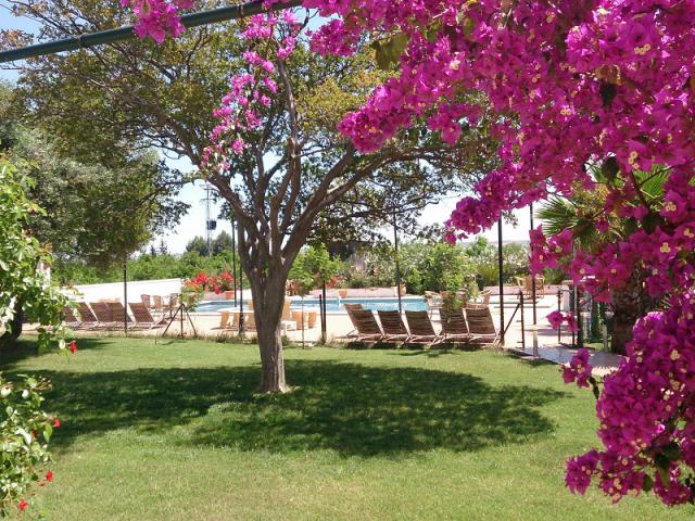 Photos for house 508143